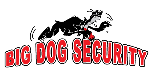 bigdogsecurity.com